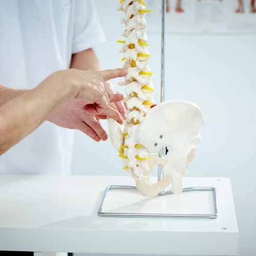 Pediatric Chiropractor in Little Elm, TX